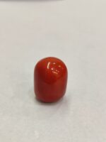 Natural Red Coral 20.13 ratti (Italian)