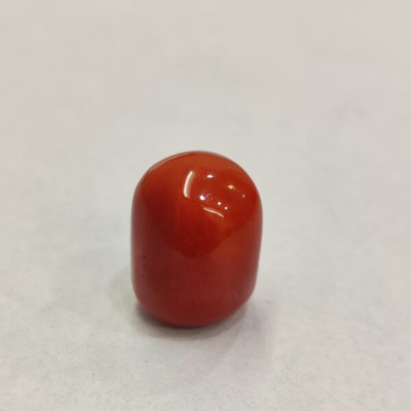 Natural Red Coral 20.13 ratti (Italian)