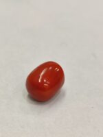 Natural Red Coral 20.13 ratti (Italian) - Image 2