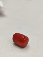 Natural Red Coral 12.92 ratti  (Italian) - Image 6