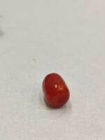 Natural Red Coral 12.92 ratti  (Italian) - Image 3