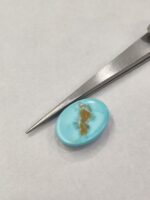 Natural Firoza (Irani) 12.10 Carats - Image 7