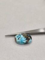 Natural Firoza (Irani) 17.10 Carats - Image 4