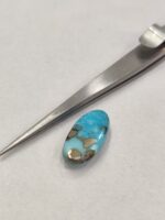 Natural Firoza (Irani) 9.70 Carats - Image 6