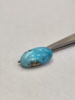 Natural Firoza (Irani) 9.70 Carats