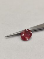 Natural Ruby (Manik) 6.55 Carats - Image 5