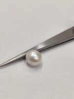 Natural South Sea Pearl 5.00 Carats