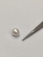 Natural South Sea Pearl 5.35 Carats - Image 5