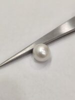 Natural South Sea Pearl 5.35 Carats