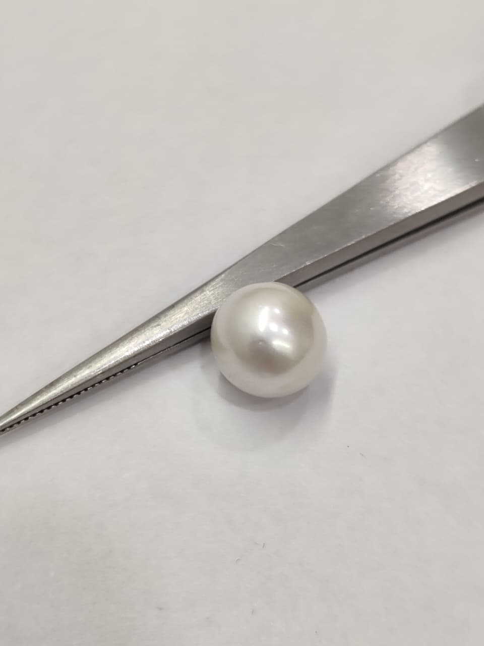 WhatsApp Image 2026-01-13 at 3.53.37 PM (1) Natural South Sea Pearl 5.35 Carats - Image 1