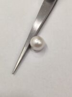 Natural South Sea Pearl 5.35 Carats - Image 6