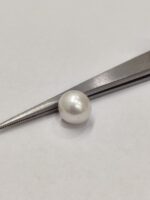 Natural South Sea Pearl 5.35 Carats - Image 3