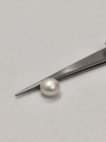 Natural South Sea Pearl 5.00 Carats - Image 4