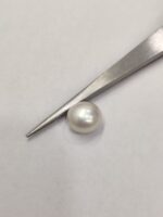 Natural South Sea Pearl 5.00 Carats
