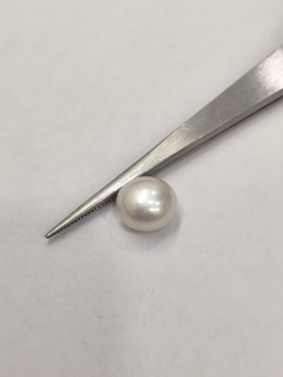 WhatsApp Image 2026-01-13 at 3.59.21 PM Natural South Sea Pearl 5.00 Carats - Image 1