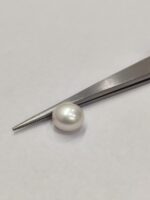 Natural South Sea Pearl 5.00 Carats - Image 2