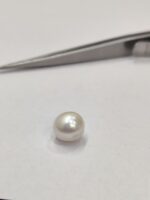 Natural South Sea Pearl 4.80 Carats - Image 2