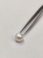 Natural South Sea Pearl 5.30 Carats