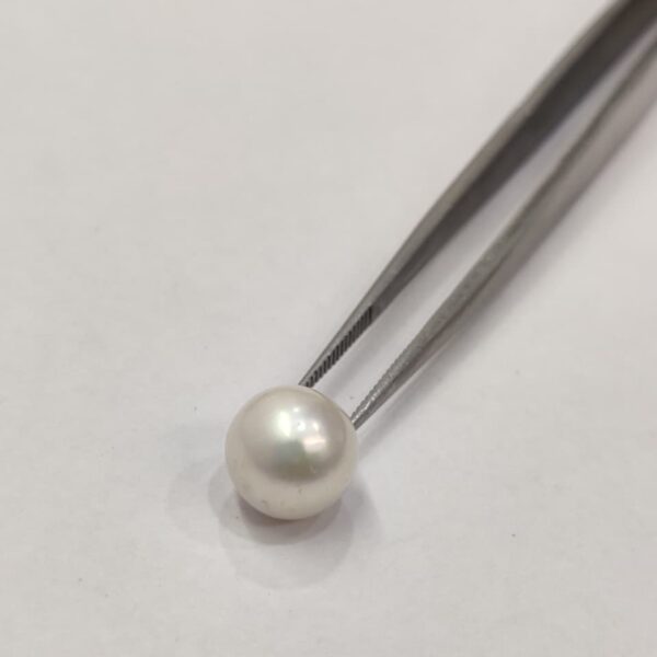 Natural South Sea Pearl 5.30 Carats