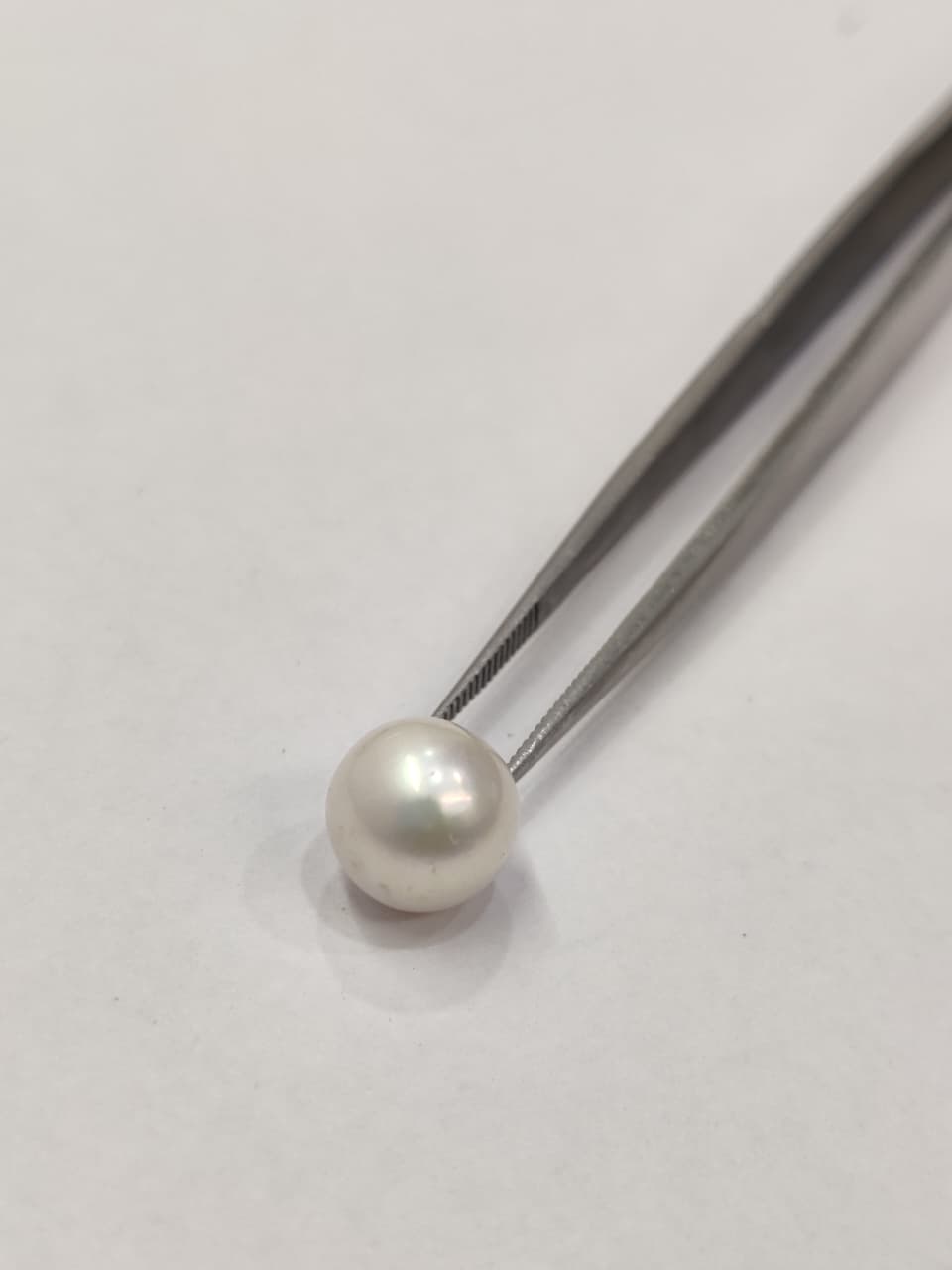 WhatsApp Image 2026-01-13 at 4.21.13 PM Natural South Sea Pearl 5.30 Carats - Image 1