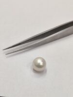 Natural South Sea Pearl 5.30 Carats - Image 3