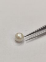 Natural South Sea Pearl 4.80 Carats - Image 6