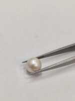Natural South Sea Pearl 4.80 Carats