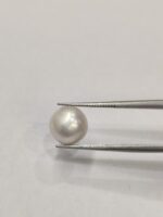 Natural South Sea Pearl 4.80 Carats - Image 3