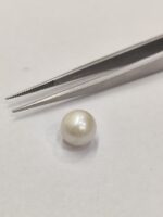 Natural South Sea Pearl 4.80 Carats - Image 4