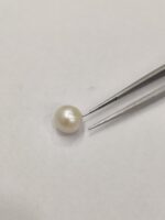 Natural South Sea Pearl 4.80 Carats - Image 2