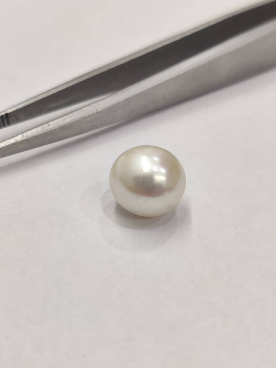 WhatsApp Image 2026-01-13 at 4.46.09 PM Natural South Sea Pearl 4.80 Carats - Image 1
