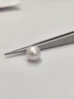 Natural South Sea Pearl 4.80 Carats - Image 3