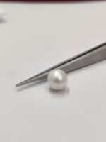 Natural South Sea Pearl 4.80 Carats - Image 4