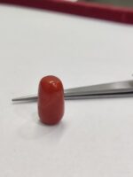 Natural Red Coral 18.97 Ratti (Italian) - Image 4
