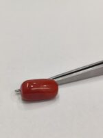 Natural Red Coral 18.97 Ratti (Italian) - Image 3