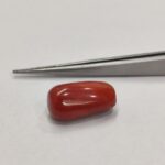 Natural Red Coral 18.97 Ratti (Italian)