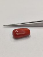 Natural Red Coral 18.97 Ratti (Italian)