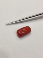 Natural Red Coral 18.97 Ratti (Italian) - Image 6