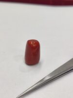 Natural Red Coral 20.90 Ratti (Italian) - Image 5