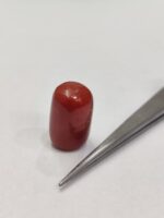 Natural Red Coral 20.90 Ratti (Italian) - Image 6