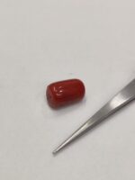 Natural Red Coral 20.90 Ratti (Italian) - Image 7
