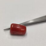 Natural Red Coral 20.90 Ratti (Italian)