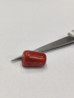 Natural Red Coral 20.90 Ratti (Italian) - Image 3