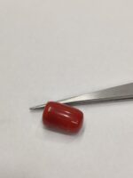 Natural Red Coral 20.90 Ratti (Italian) - Image 2