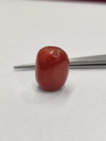 Natural Red Coral 22.70 Ratti (Italian) - Image 7