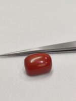 Natural Red Coral 22.70 Ratti (Italian) - Image 3