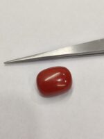 Natural Red Coral 22.70 Ratti (Italian) - Image 2