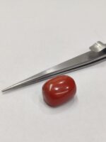 Natural Red Coral 22.70 Ratti (Italian)