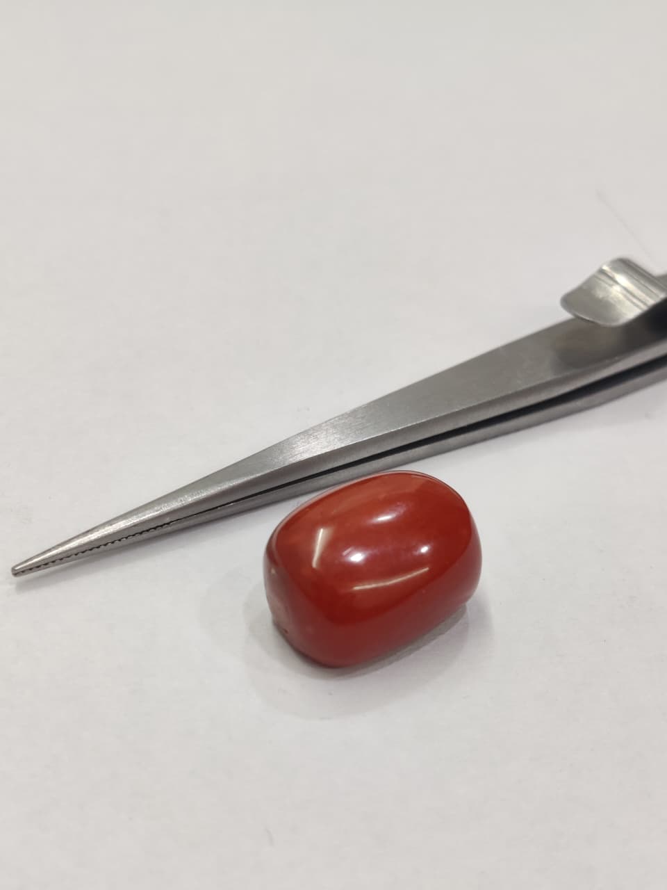 WhatsApp Image 2026-01-13 at 5.25.27 PM Natural Red Coral 22.70 Ratti (Italian) - Image 1