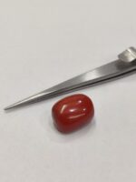 Natural Red Coral 22.70 Ratti (Italian) - Image 5